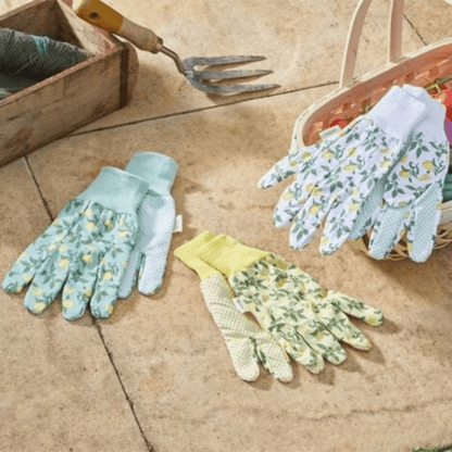 Briers - 3 Pack Cotton Grip Gardening Gloves, Sicilian Lemon - The Flower Crate