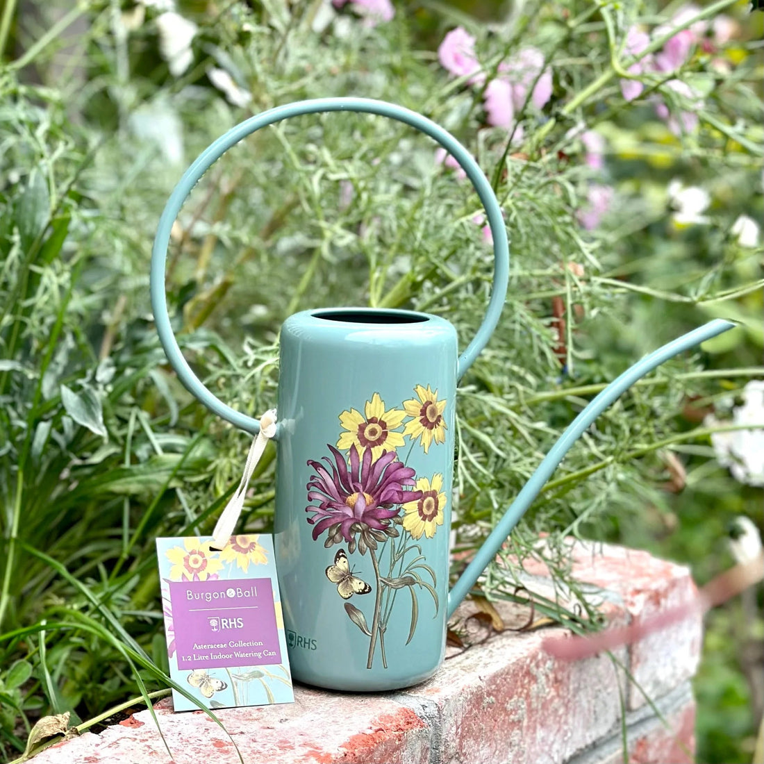 Burgon & Ball - Aster Indoor Watering Can - The Flower Crate