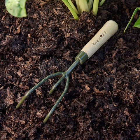 Burgon & Ball - BoronGreen Claw Cultivator - The Flower Crate