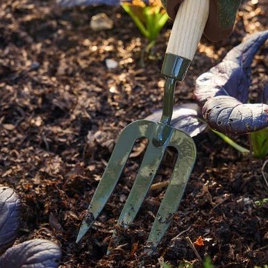 Burgon &amp; Ball - BoronGreen Hand Fork - The Flower Crate