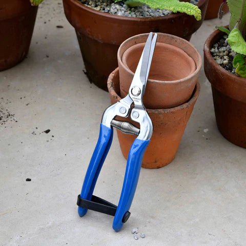Burgon &amp; Ball - British Meadow Fruit &amp; Flower Snips - The Flower Crate