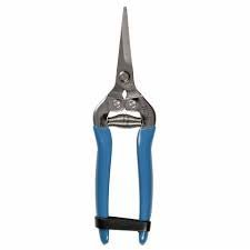 Burgon &amp; Ball - British Meadow Fruit &amp; Flower Snips - The Flower Crate