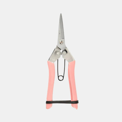 Burgon &amp; Ball - Collectors Blush Fruit &amp; Flower SNips - The Flower Crate