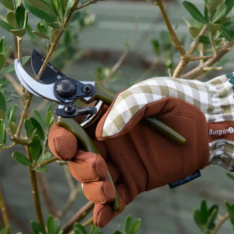 Burgon &amp; Ball - Collectors Olive Micro Secateurs - The Flower Crate