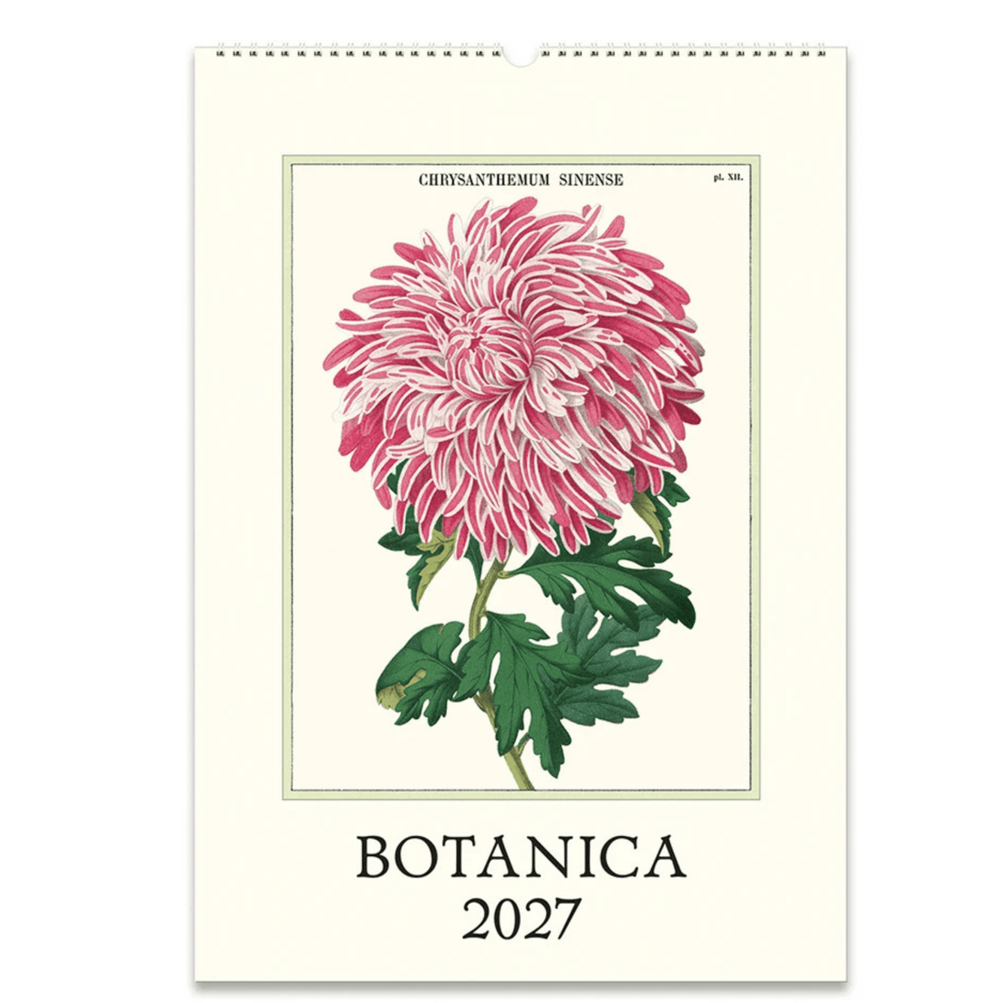 Cavallini & Co - Botanica 2027 Wall Calendar - The Flower Crate