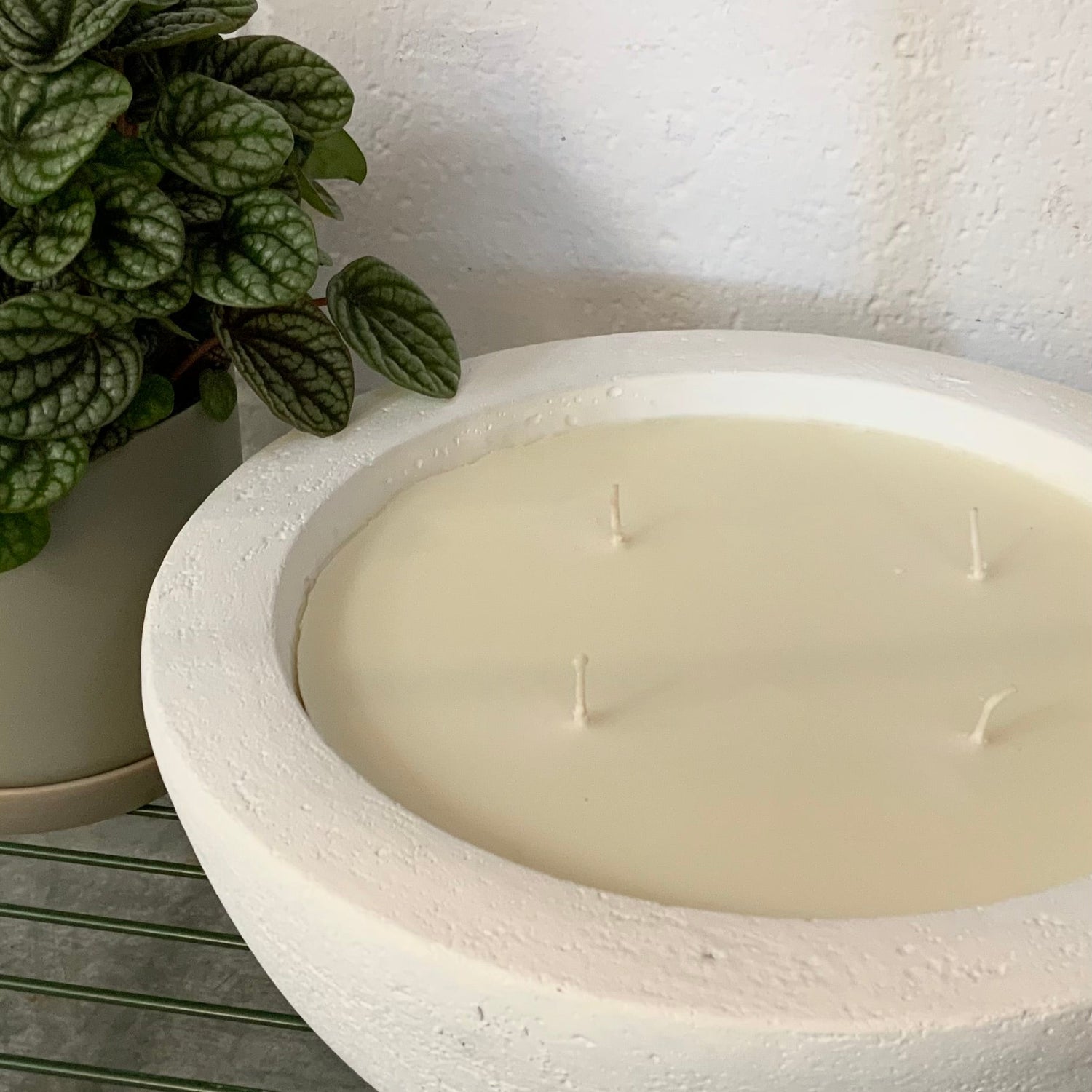 Citronella Soy Wax Candle XL - The Flower Crate