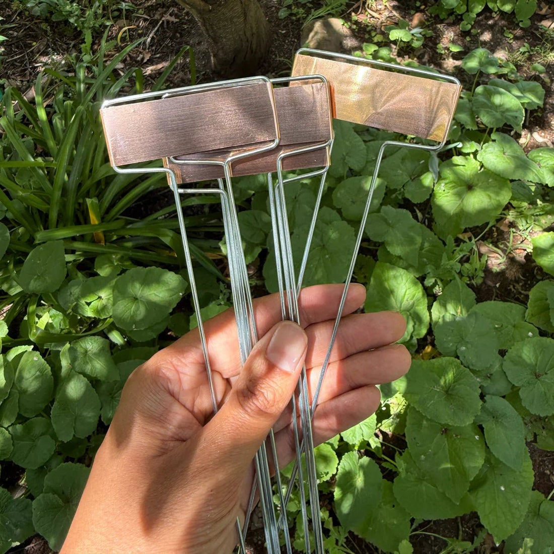 Copper Plant Labels, Pk of 5 - The Flower Crate