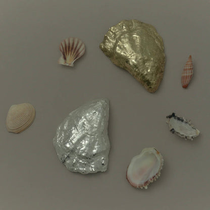 Corey Ashford - Silver Oyster Incense Holder - The Flower Crate