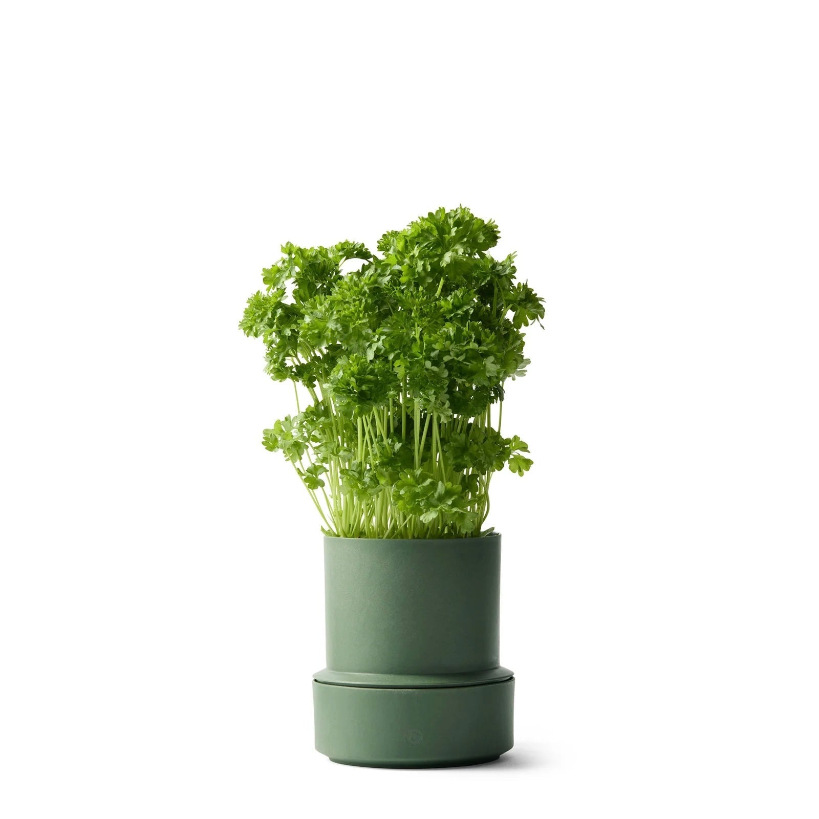 Crushgrind - Billund Self - Watering Pot - The Flower Crate