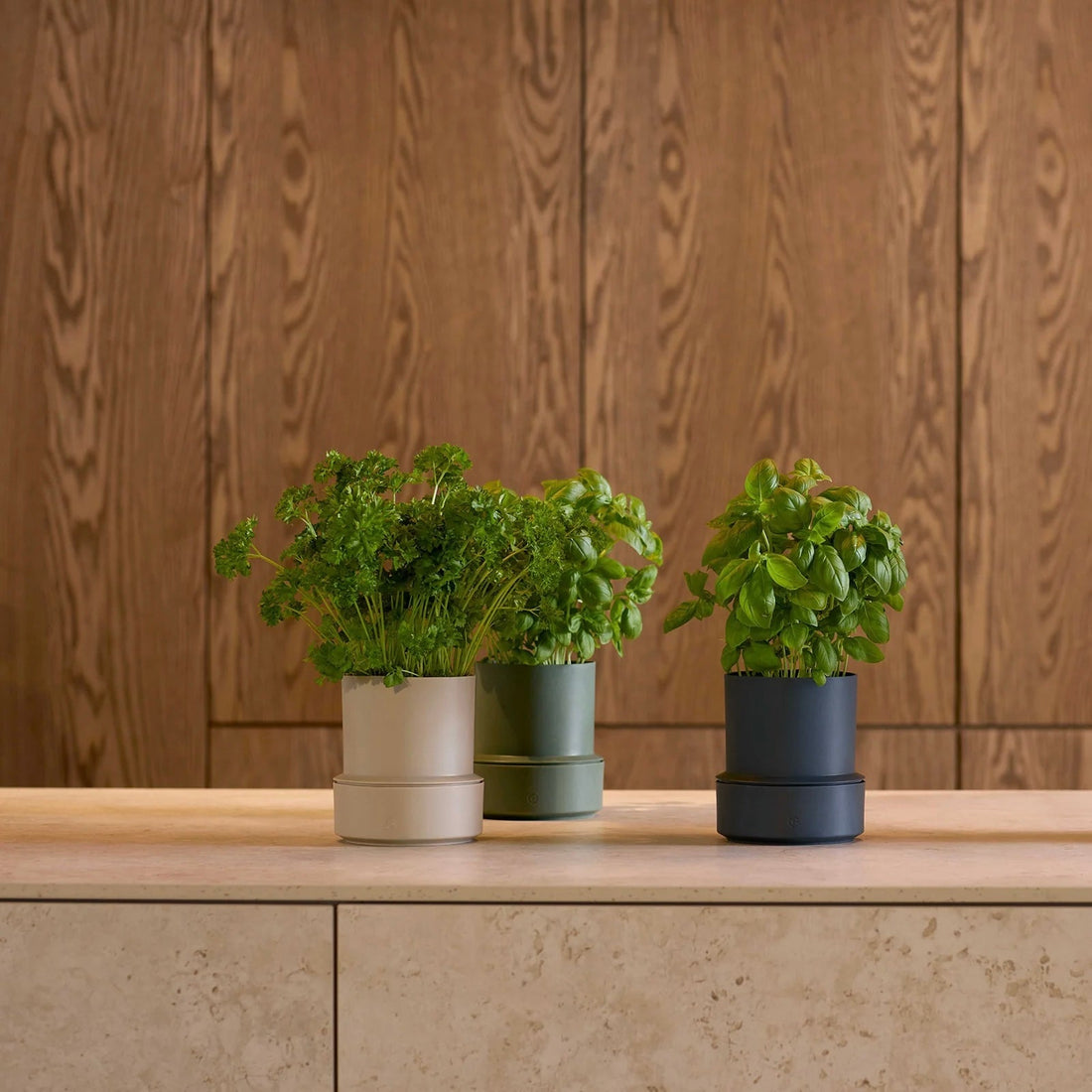 Crushgrind - Billund Self - Watering Pot - The Flower Crate