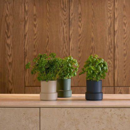 Crushgrind - Billund Self - Watering Pot - The Flower Crate