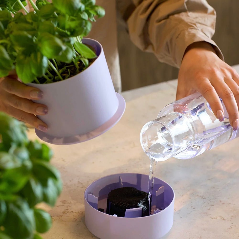 Crushgrind - Billund Self - Watering Pot - The Flower Crate