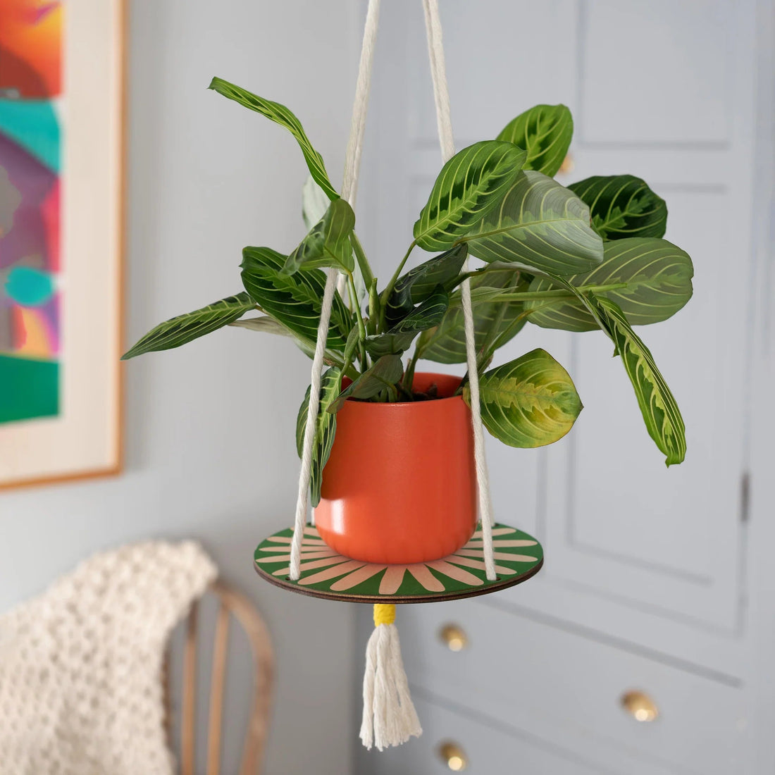 Daisy Plant Hanger - The Flower Crate