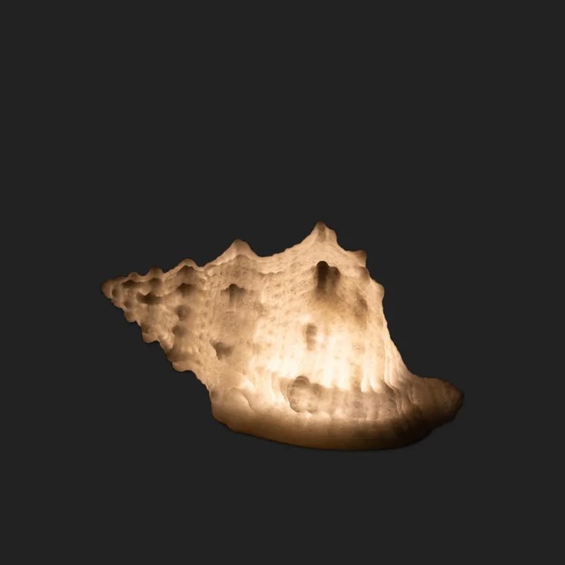 Decorative Conch Shell Light - The Flower Crate