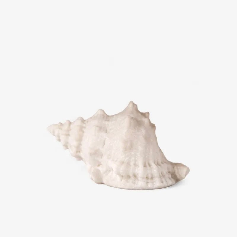 Decorative Conch Shell Light - The Flower Crate