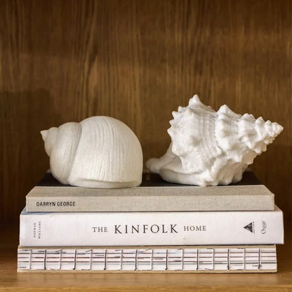 Decorative Conch Shell Light - The Flower Crate