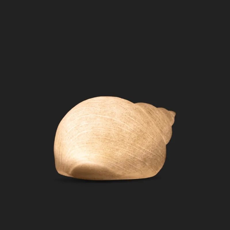 Decorative Snail Shell Light - The Flower Crate