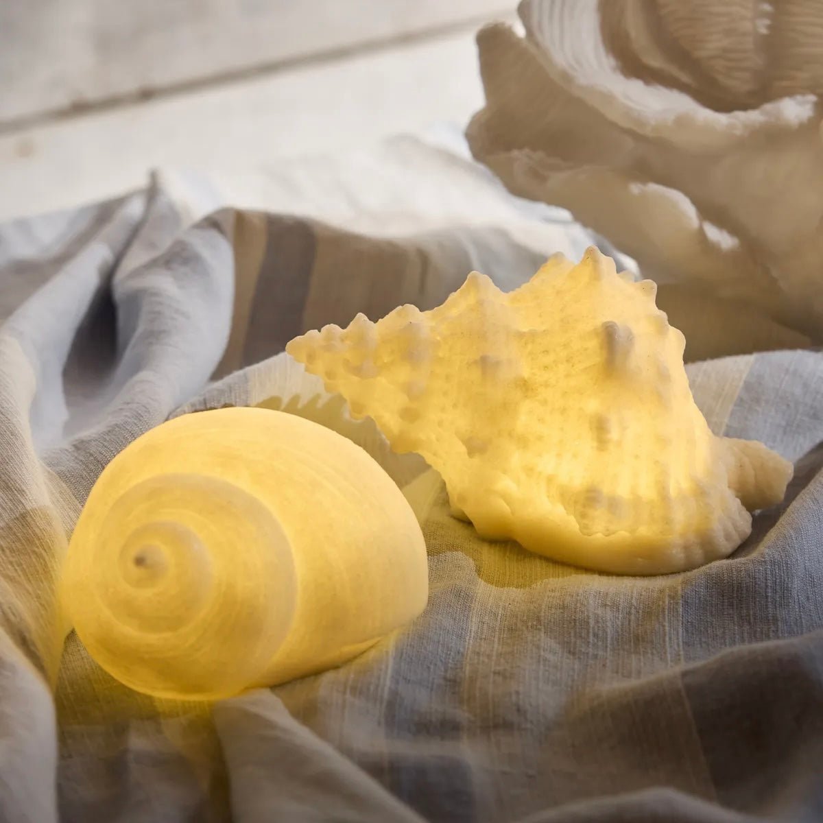 Decorative Snail Shell Light - The Flower Crate