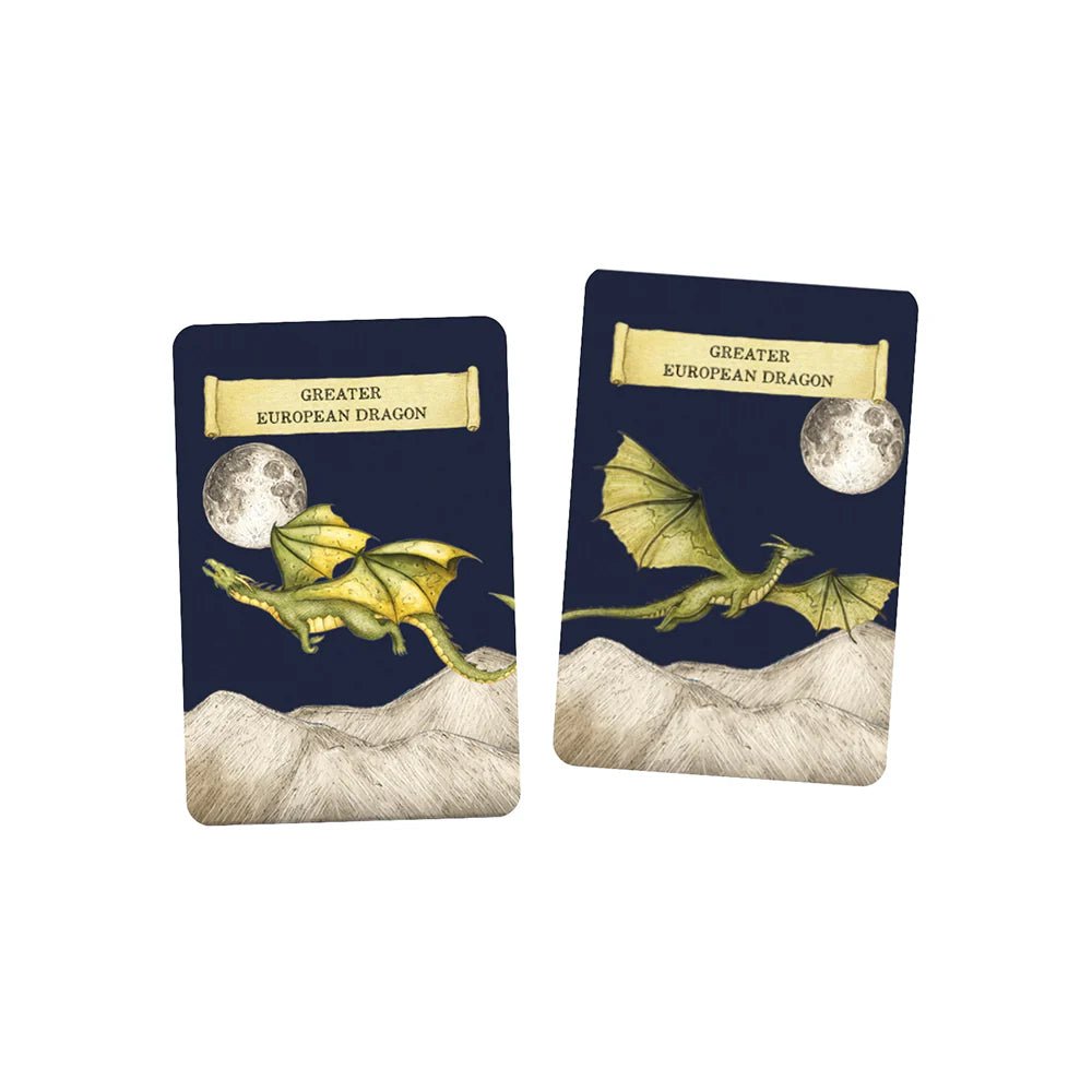 Discover The Dragons - A Memory Game - The Flower Crate