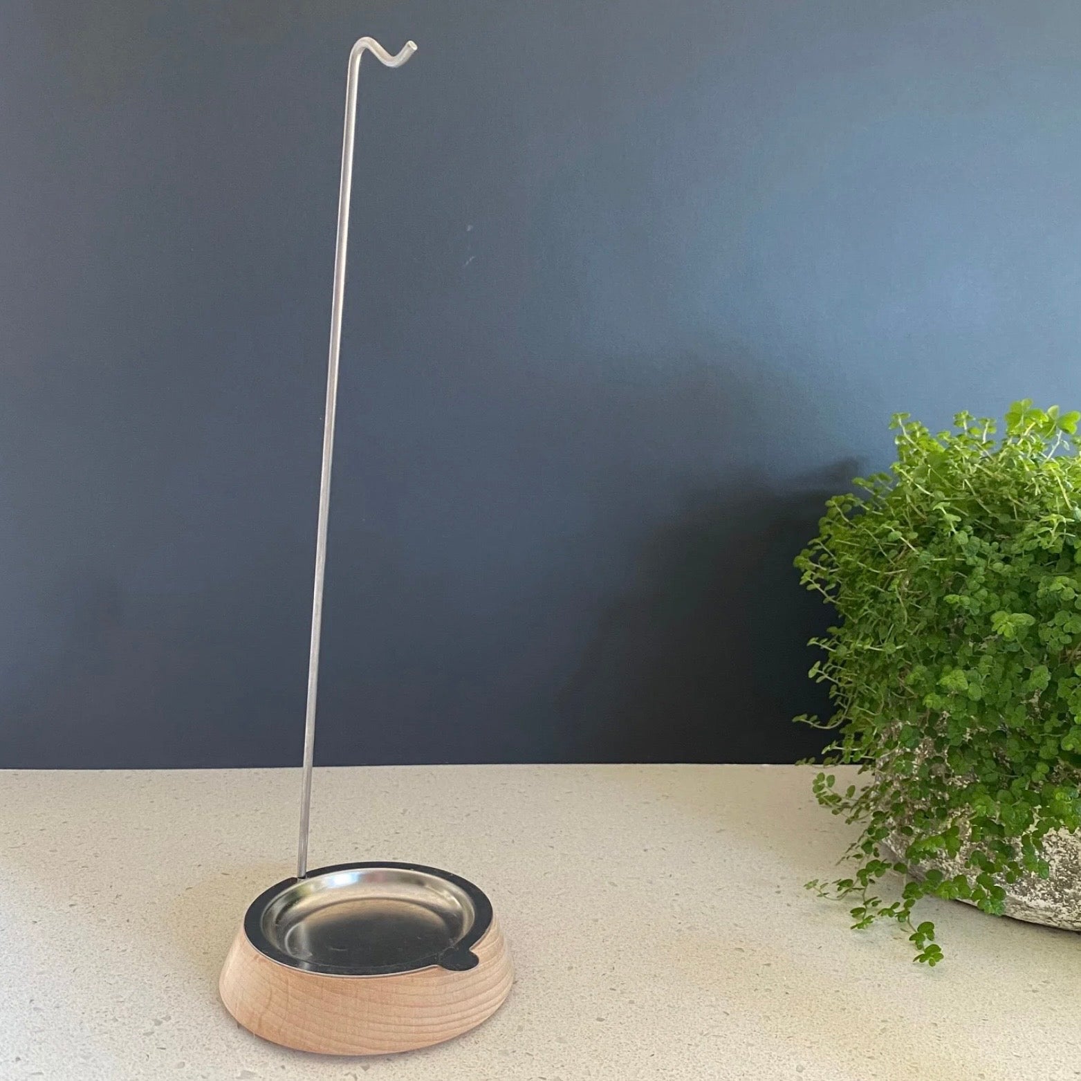 Ecovask - Dish Brush Stand - The Flower Crate