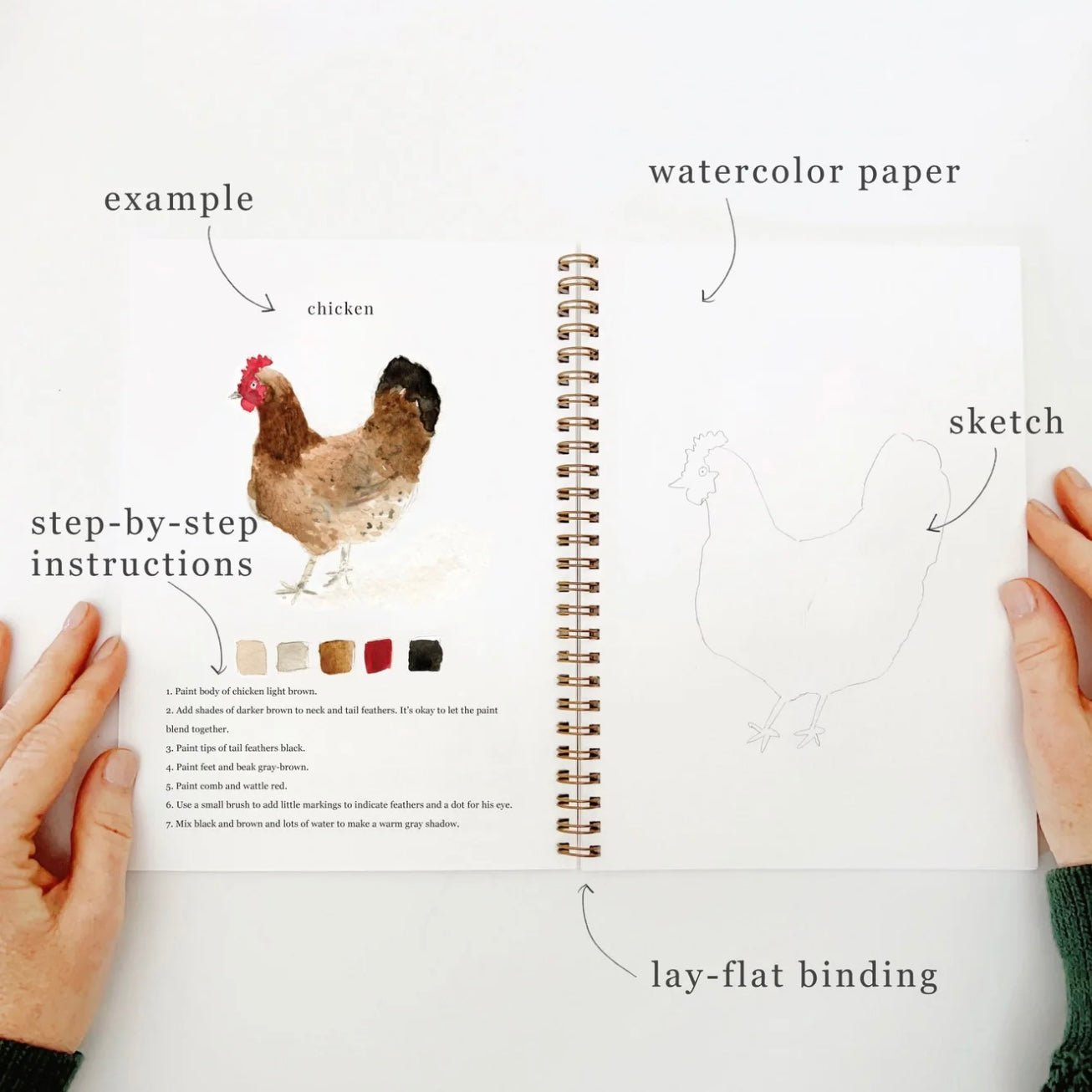 Emily Lex Studio - Animals Watercolour Workbook - The Flower Crate