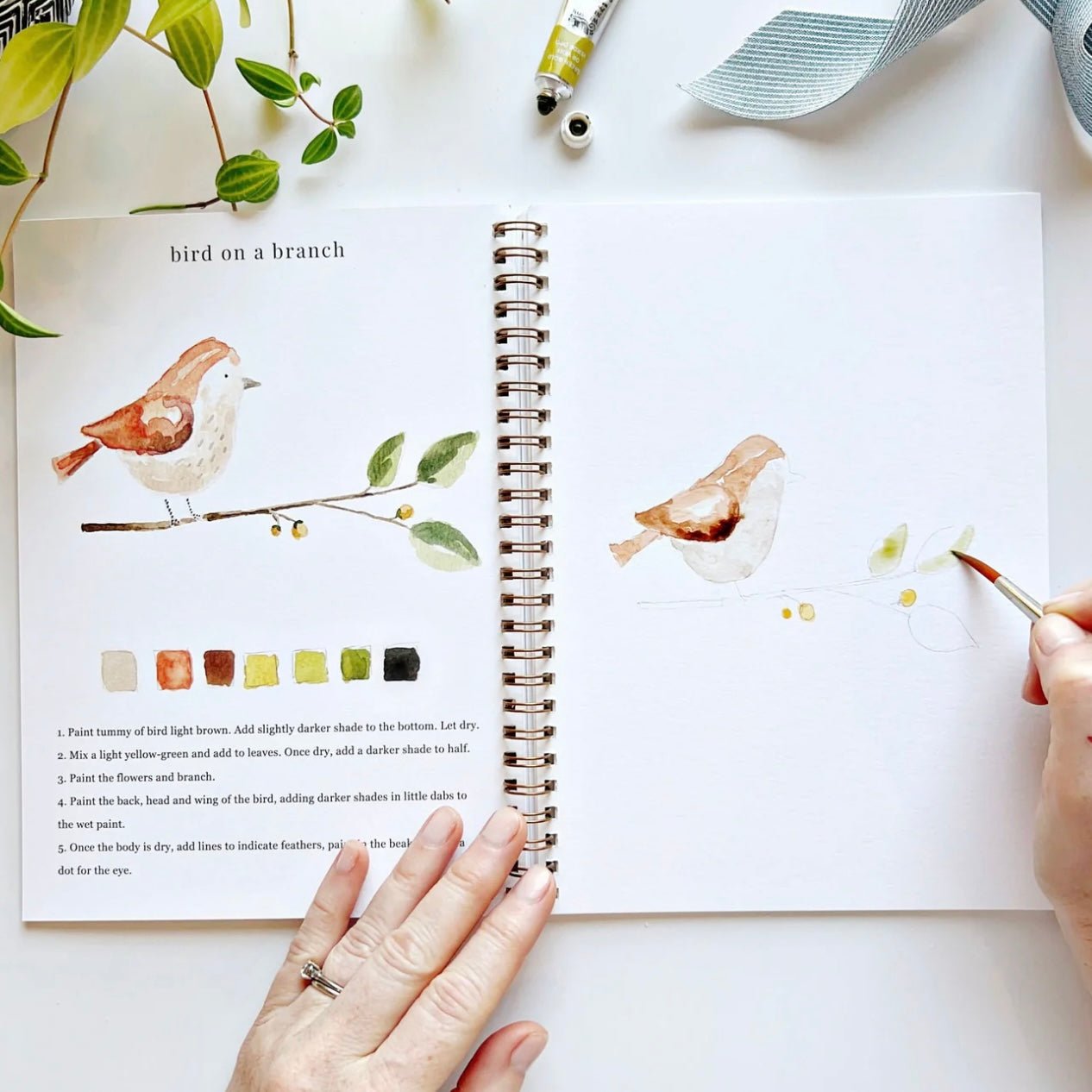 Emily Lex Studio - Animals Watercolour Workbook - The Flower Crate