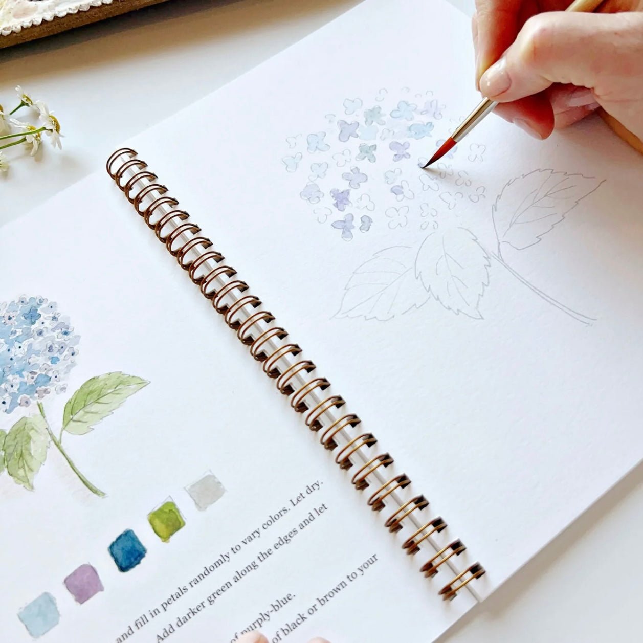 Emily Lex Studio - Flowers Watercolour Workbook - The Flower Crate