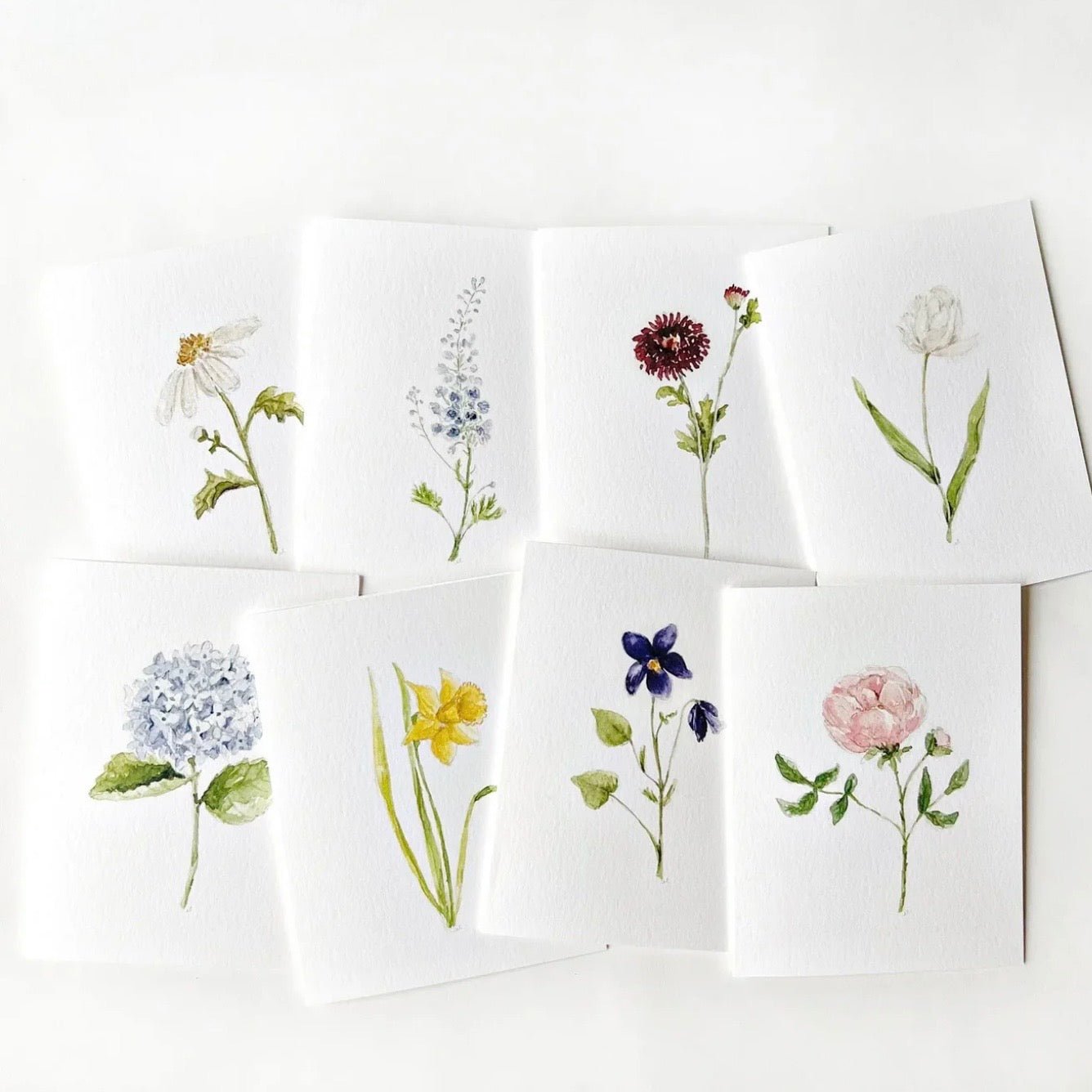 Emily Lex Studio - Garden Flowers Notecard Set - The Flower Crate