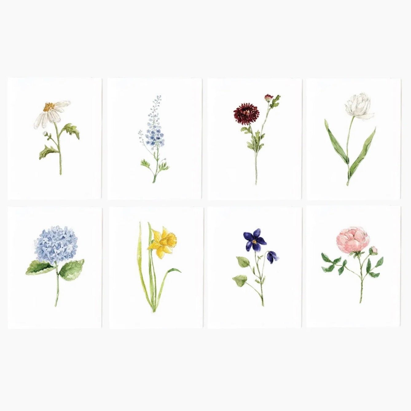 Emily Lex Studio - Garden Flowers Notecard Set - The Flower Crate