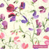 Emma Bridgewater - Cream Sweet Pea Luncheon Napkins - The Flower Crate