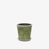 Evergreen Plant Pot & Saucer - The Flower Crate