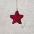 Felt Hanging Star - The Flower Crate