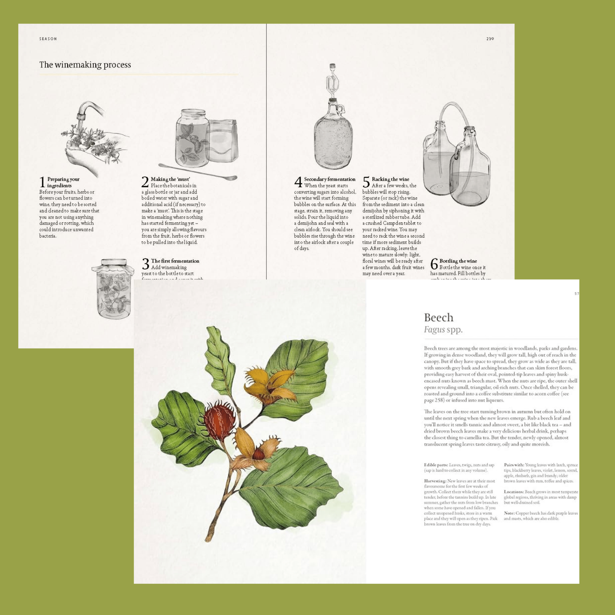 Forager&