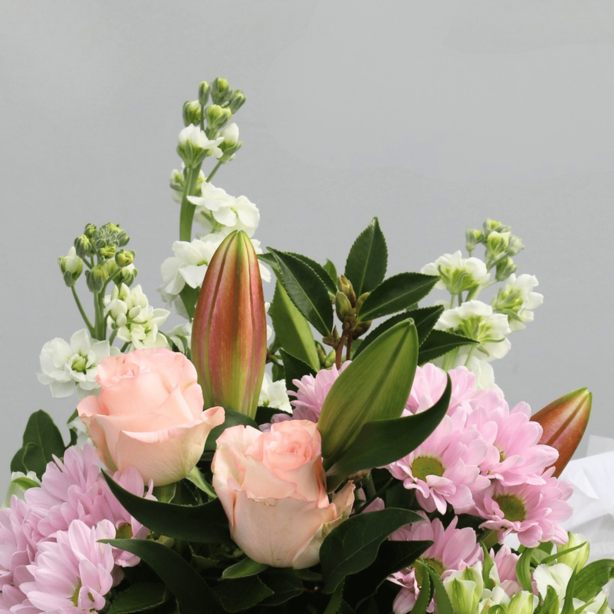 Gentle - No vase needed - The Flower Crate