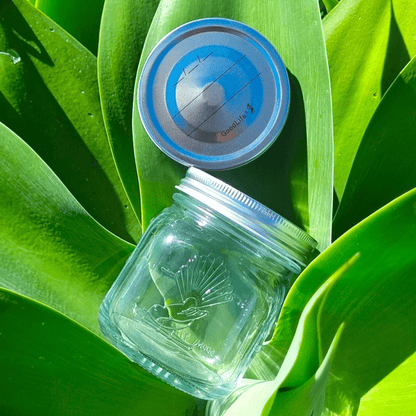 Goodlife - 500ml Preserving Jar with Pop Top Lid - The Flower Crate