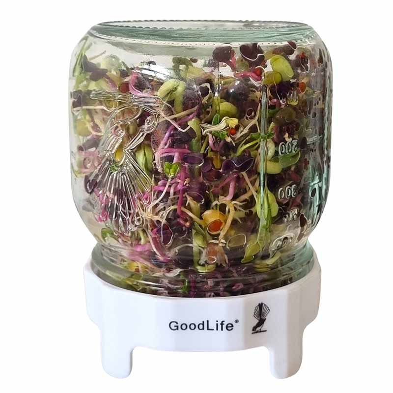 Goodlife - 500ml Sprouting Jar Kit - The Flower Crate