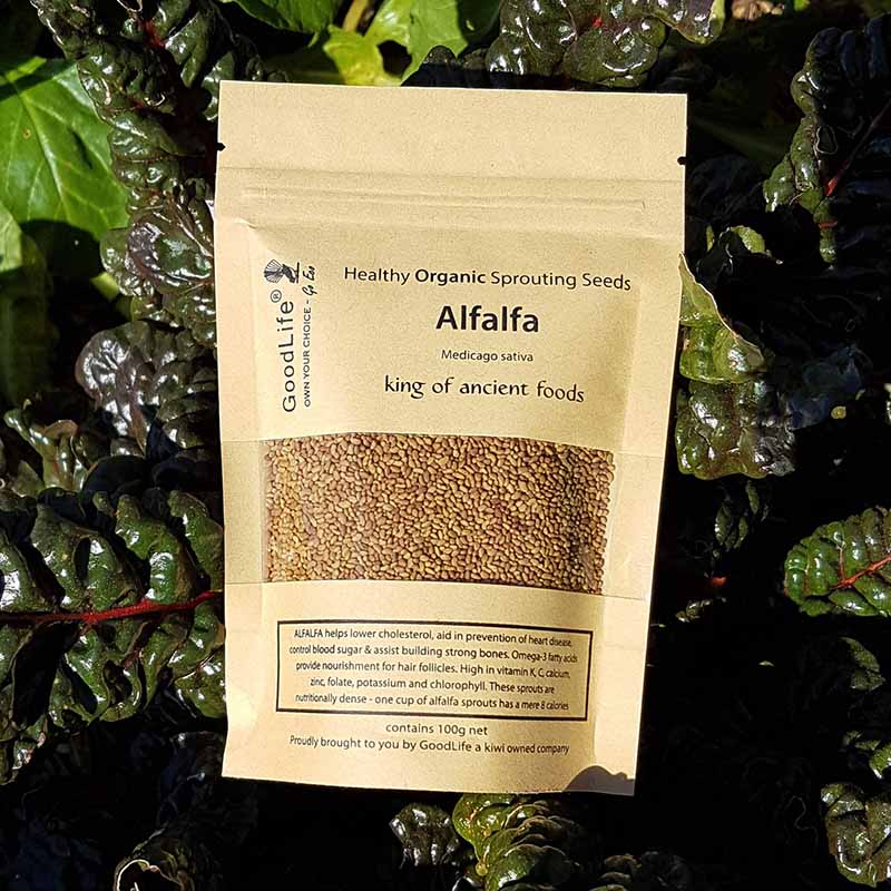 Goodlife - Alfalfa Sprouting Seeds - The Flower Crate