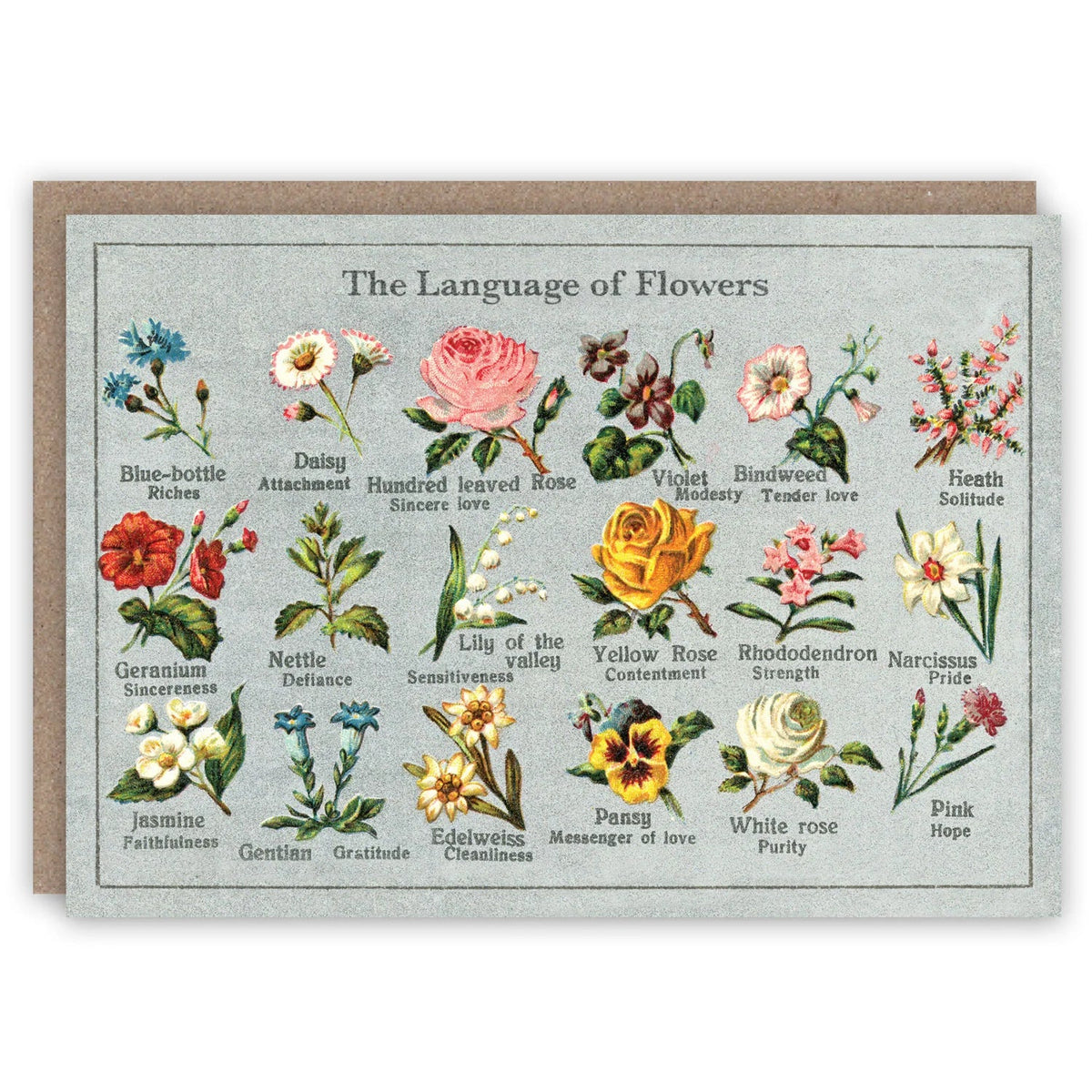Greeting Cards by The Pattern Book - The Flower Crate