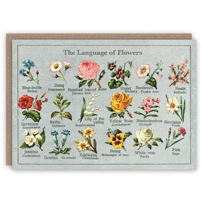 Greeting Cards by The Pattern Book - The Flower Crate