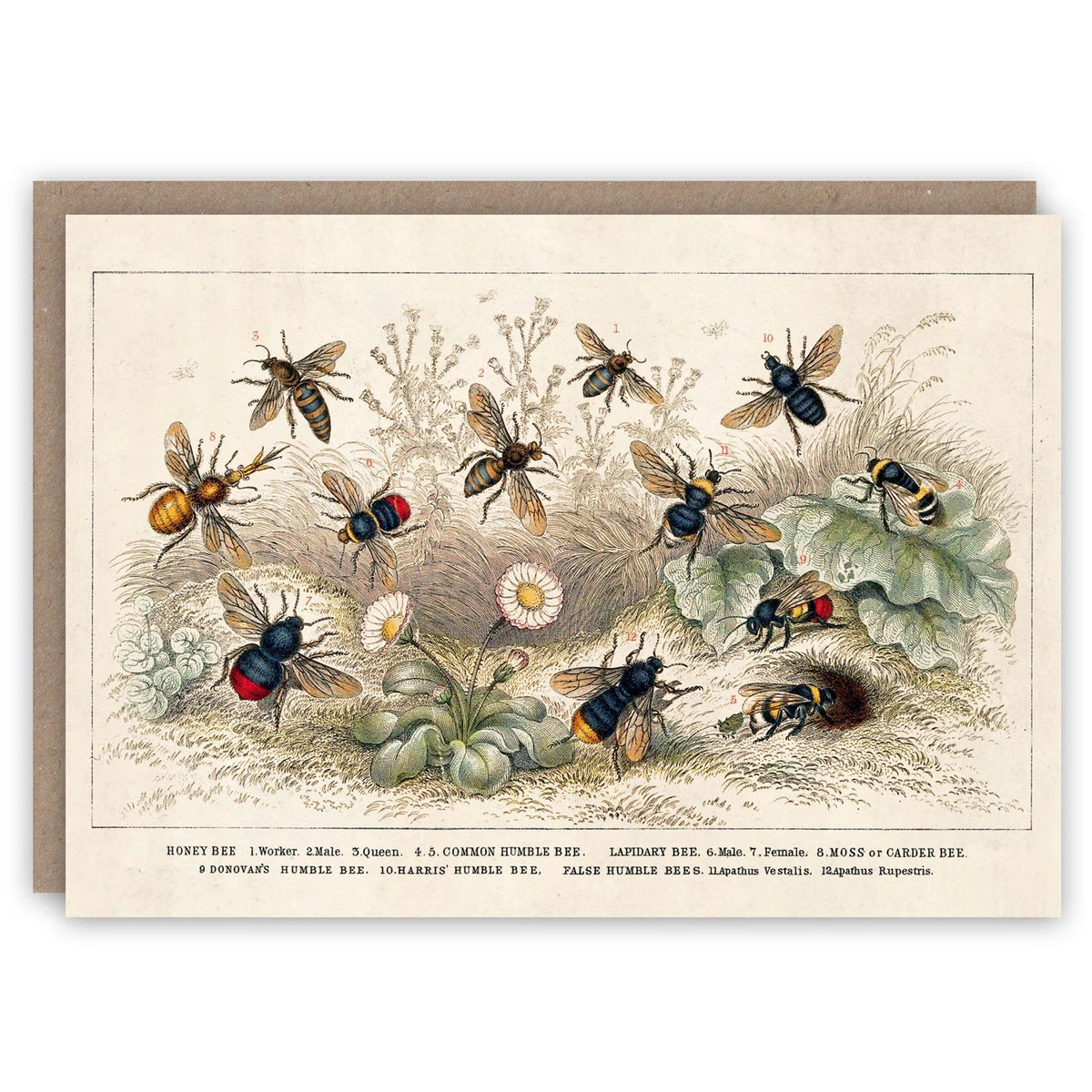 Greeting Cards by The Pattern Book - The Flower Crate