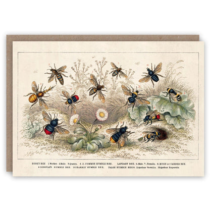 Greeting Cards by The Pattern Book - The Flower Crate