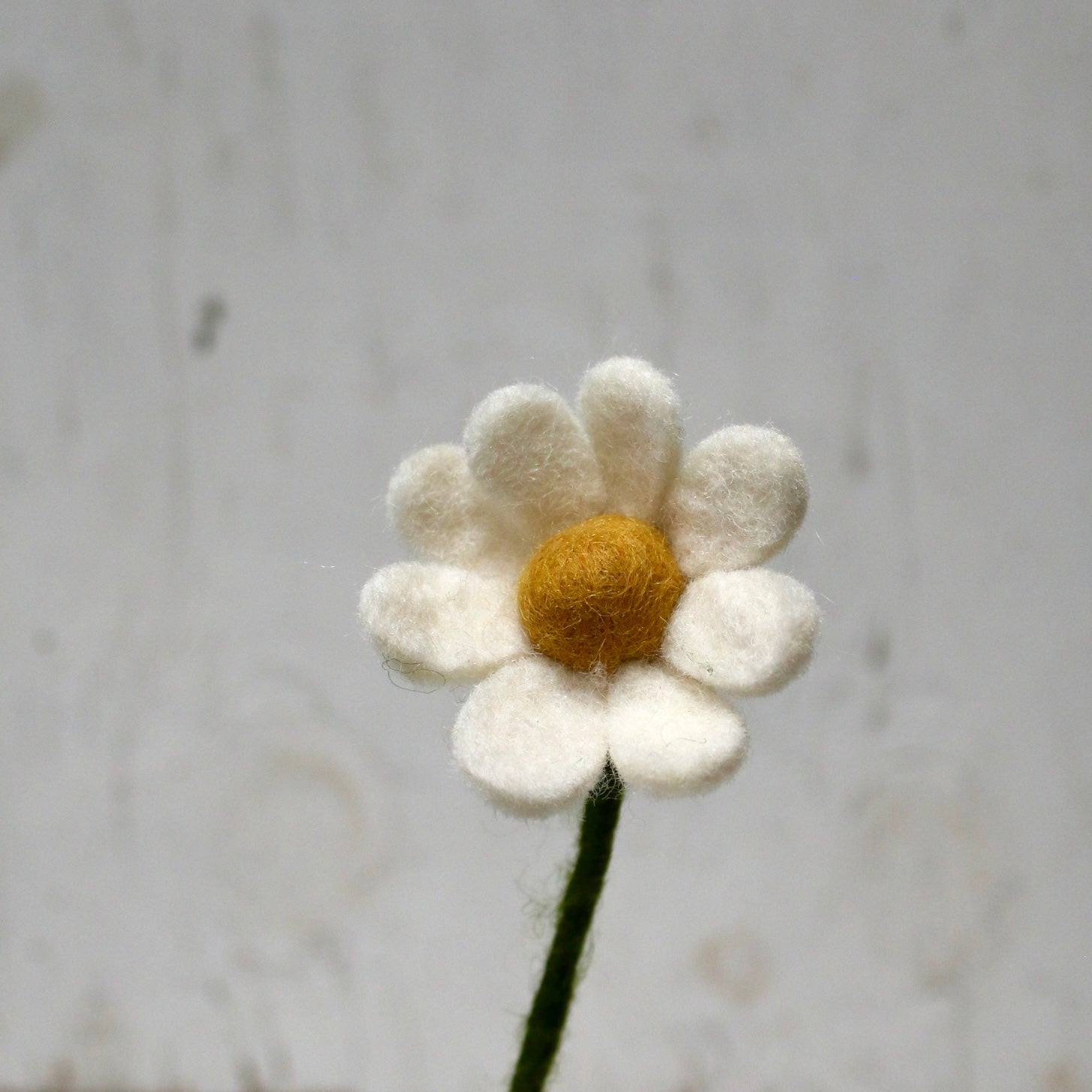 Gry &amp; Sif - Felt Anemone Flower - The Flower Crate