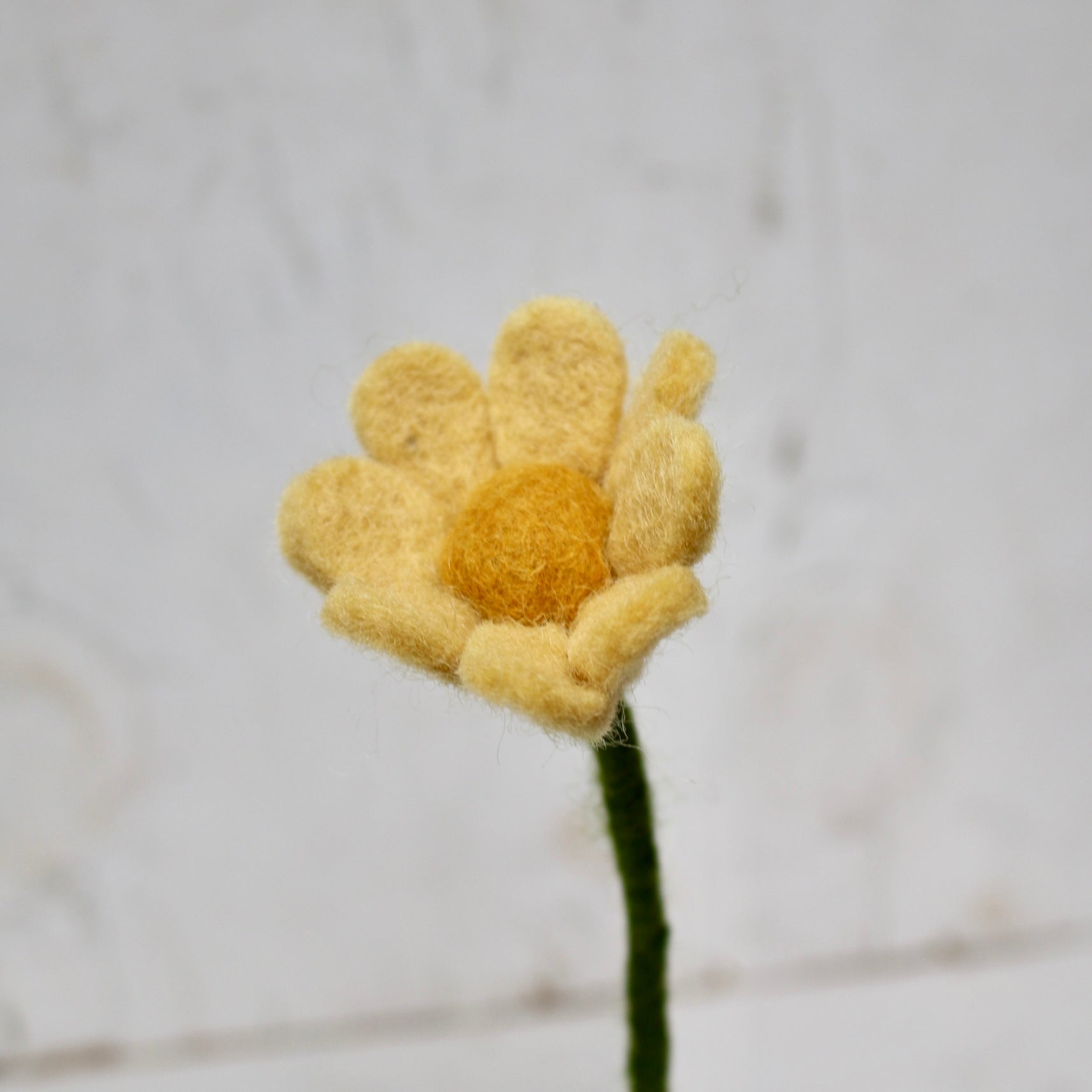 Gry &amp; Sif - Felt Anemone Flower - The Flower Crate