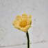 Gry & Sif - Felt Anemone Flower - The Flower Crate
