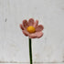 Gry & Sif - Felt Anemone Flower - The Flower Crate