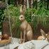 Harold The Hare - Small - The Flower Crate