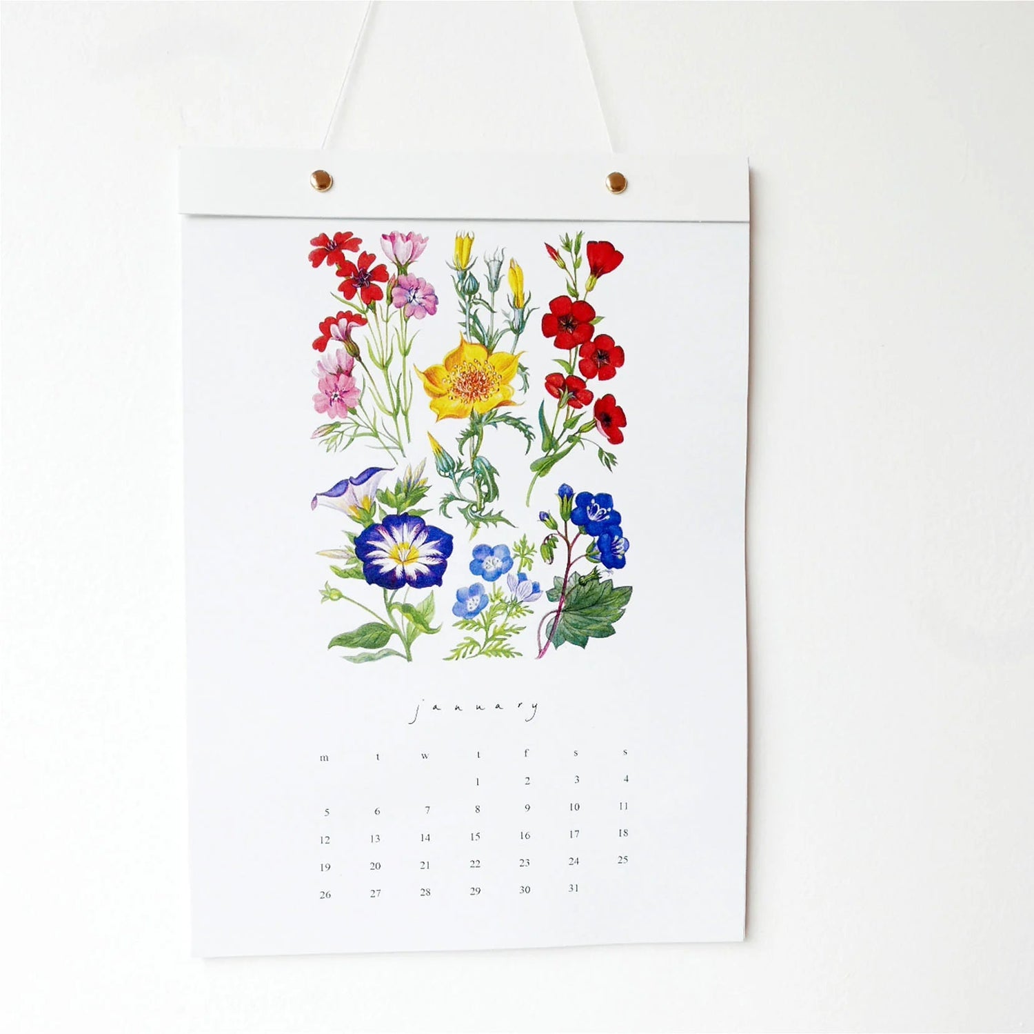Hydrangea Ranger - 2026 Wall Calendar - The Flower Crate
