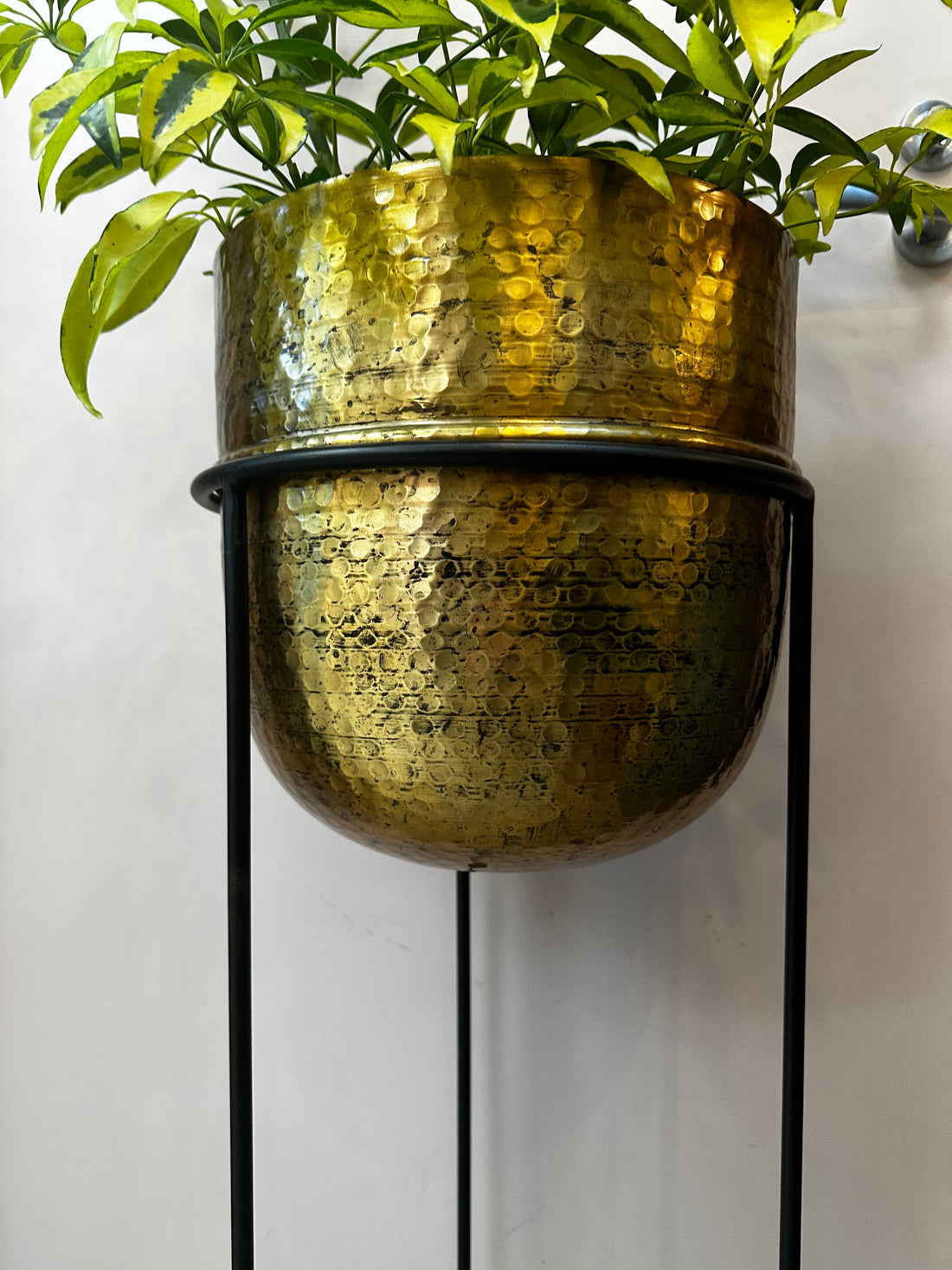 Planter/Wine Bucket On A Stand