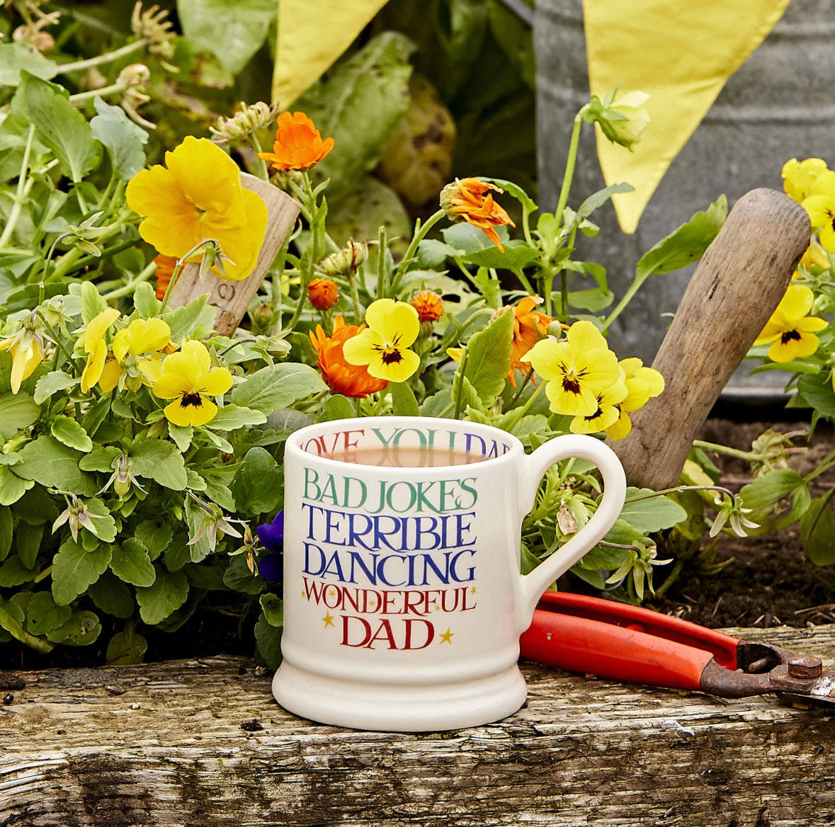 Emma Bridgewater Rainbow Toast Wonderful Dad ½ Pint Mug