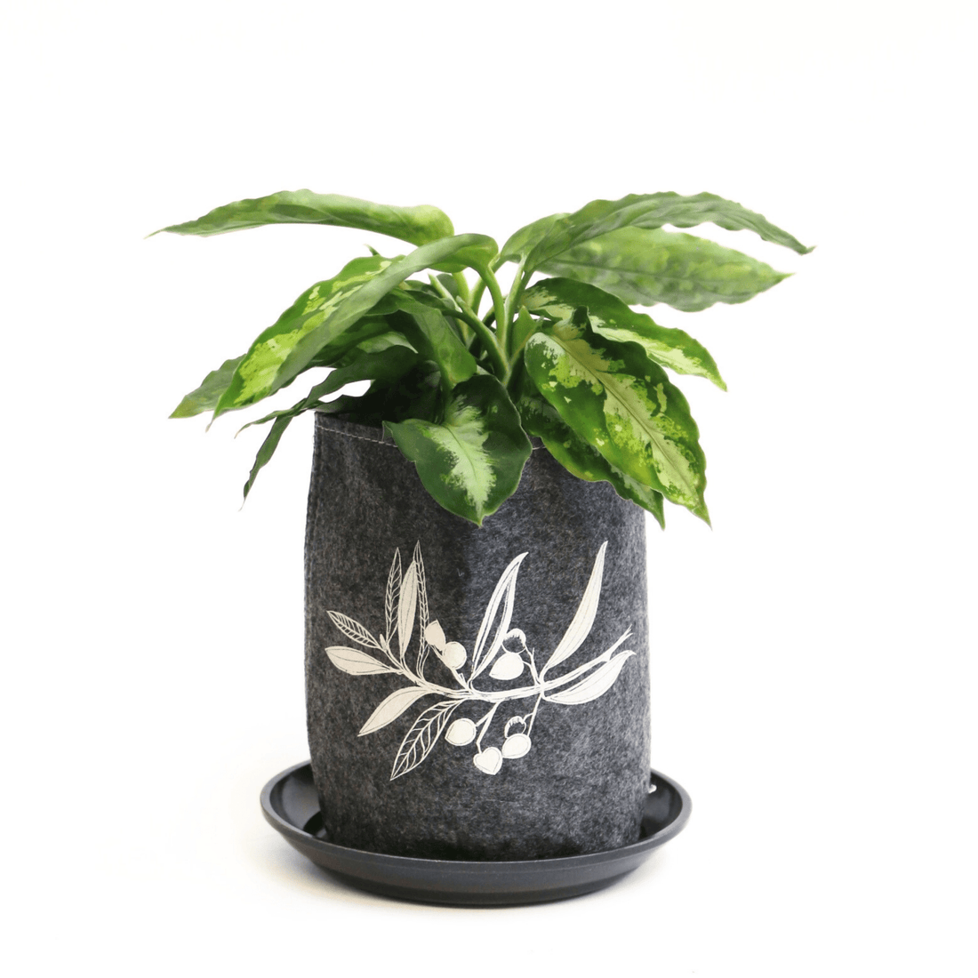 Jo Luping - Ecofelt Growbag - The Flower Crate